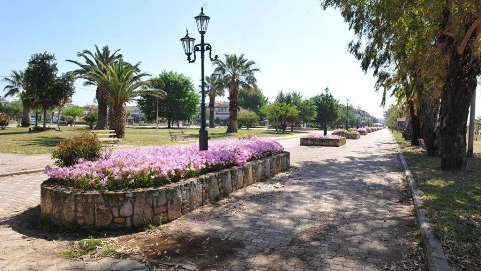 Zoi Apartments Paralía Dionysíou Eksteriør bilde